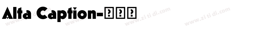 Alta Caption字体转换